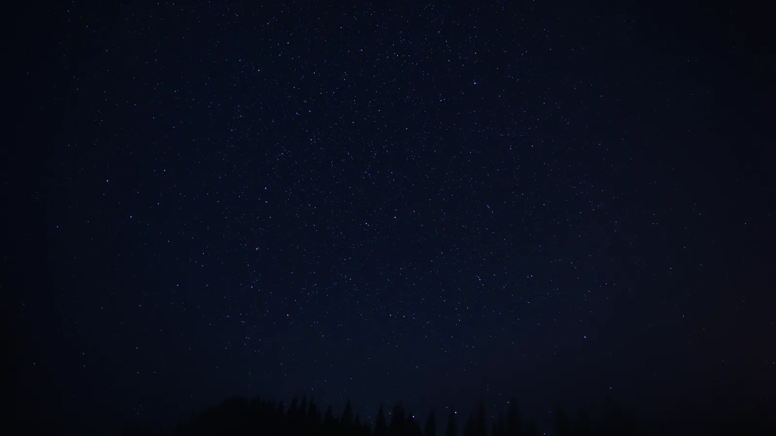 Beautiful,View,Of,Starry,Sky,Over,Dark,Forest,At,Night