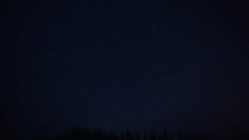 Beautiful,View,Of,Starry,Sky,Over,Dark,Forest,At,Night