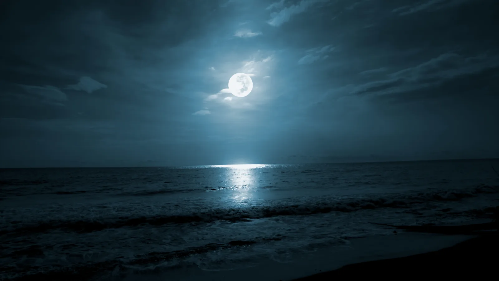 Full,Moon,Over,The,Sea.,Beach,Night,Landscape