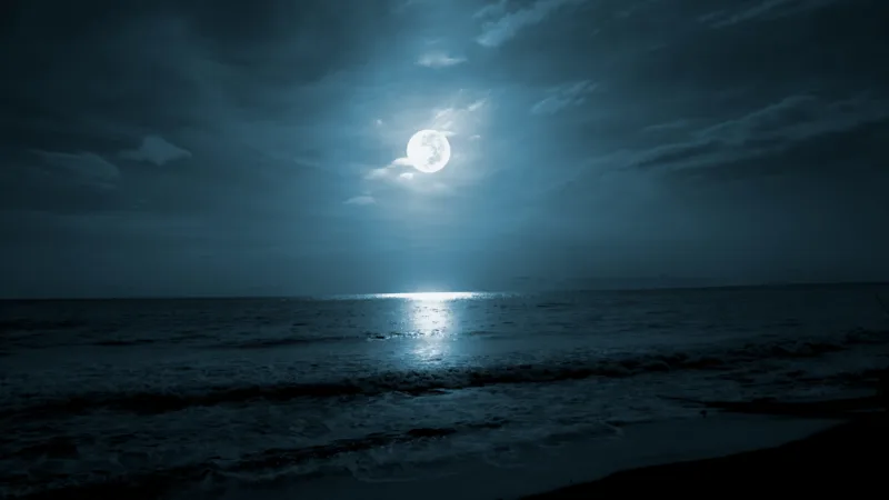 Full,Moon,Over,The,Sea.,Beach,Night,Landscape