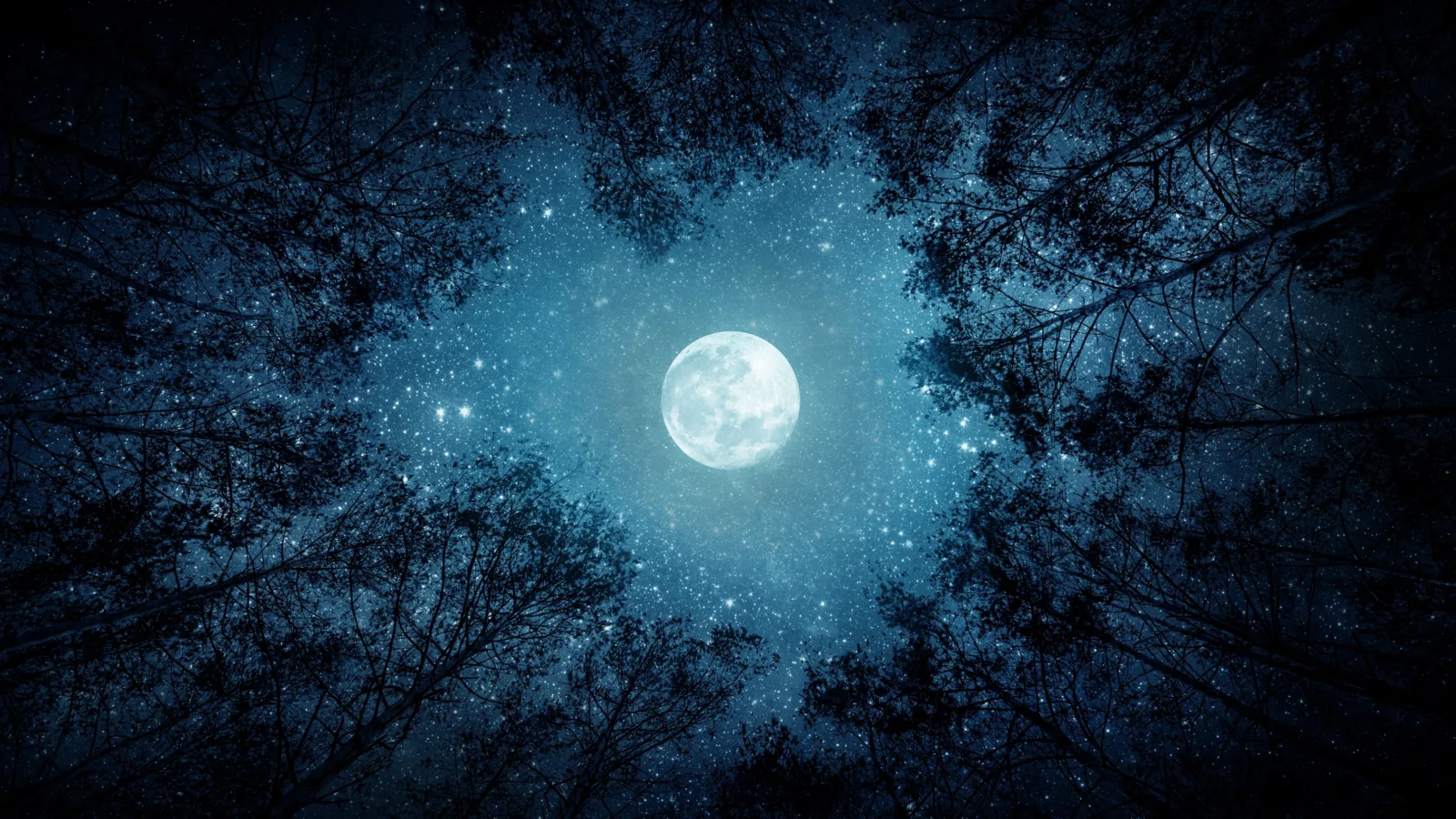 Beautiful,Night,Sky,,The,Milky,Way,,Moon,And,The,Trees.